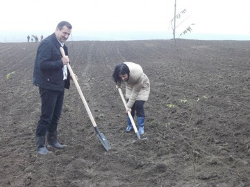 Primarii constănțeni, nemulțumiți de sumele alocate din taxa pe valoare adăugată